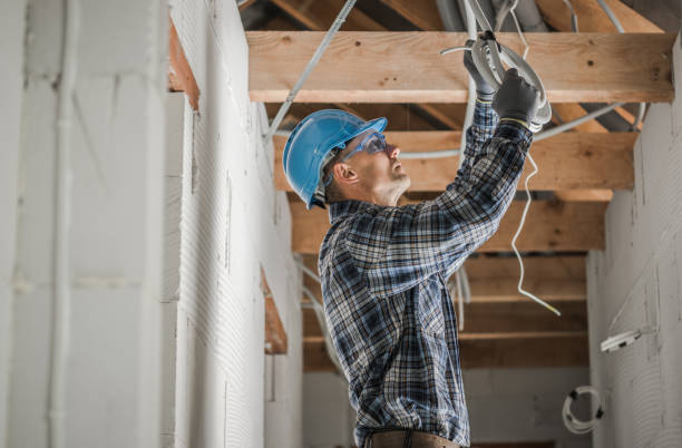 Best Electric Panel Repair  in Newhall, IA